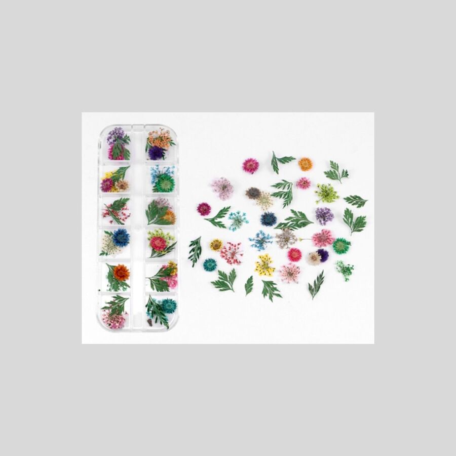 Flores secas 6 - 29626