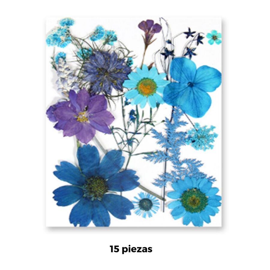 Flores secas - 30810