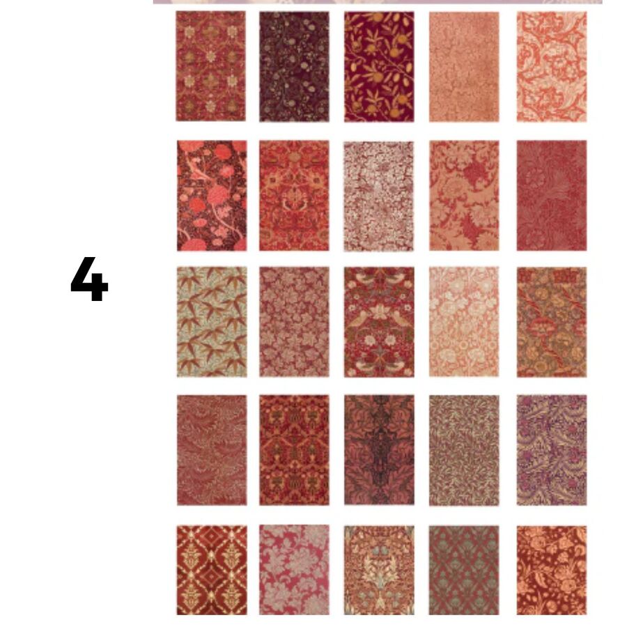 Libro mediano papeles botanicos