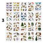 Libro stickers pet 30561