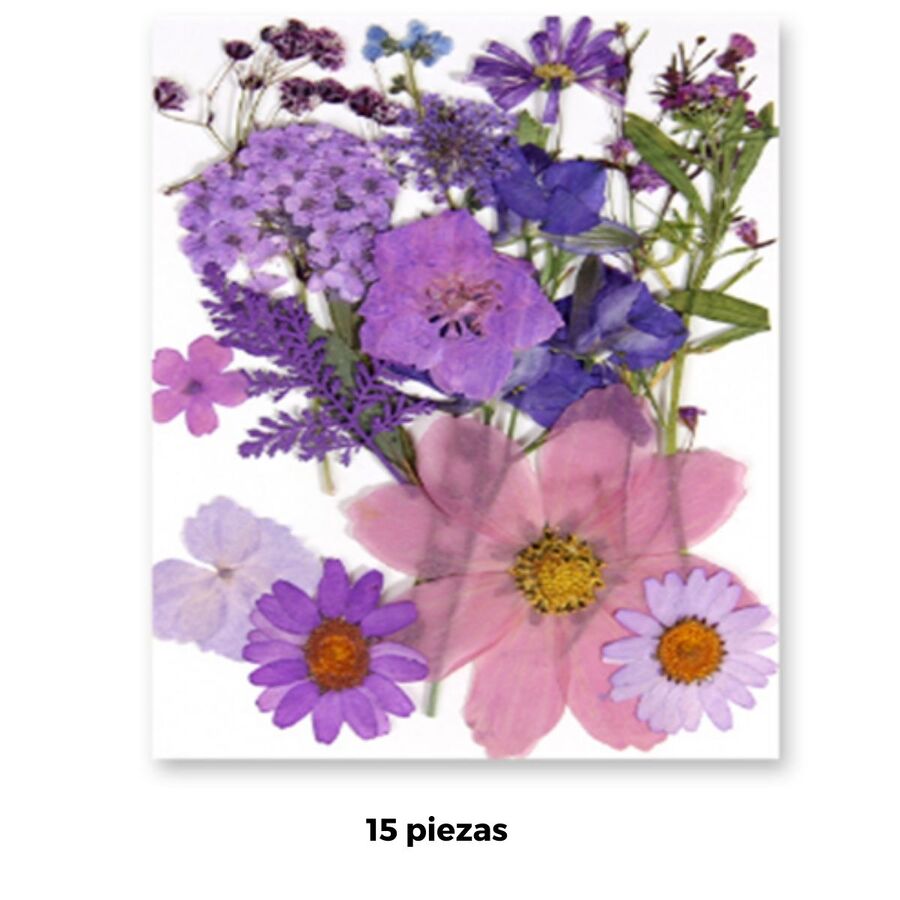 Flores secas - 30809
