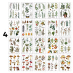 Libro stickers pet 30561