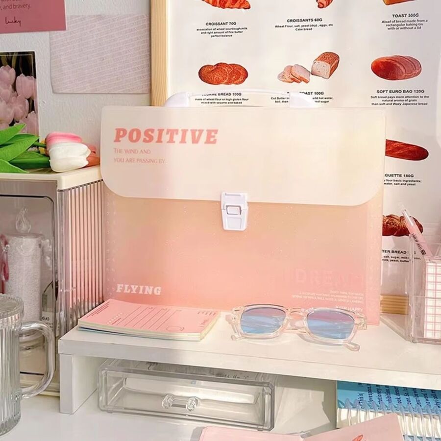 Carpeta organizadora