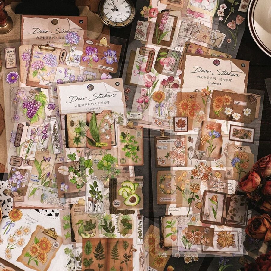 Planchas stickers pet 30623