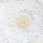 15g Lacre transparente
