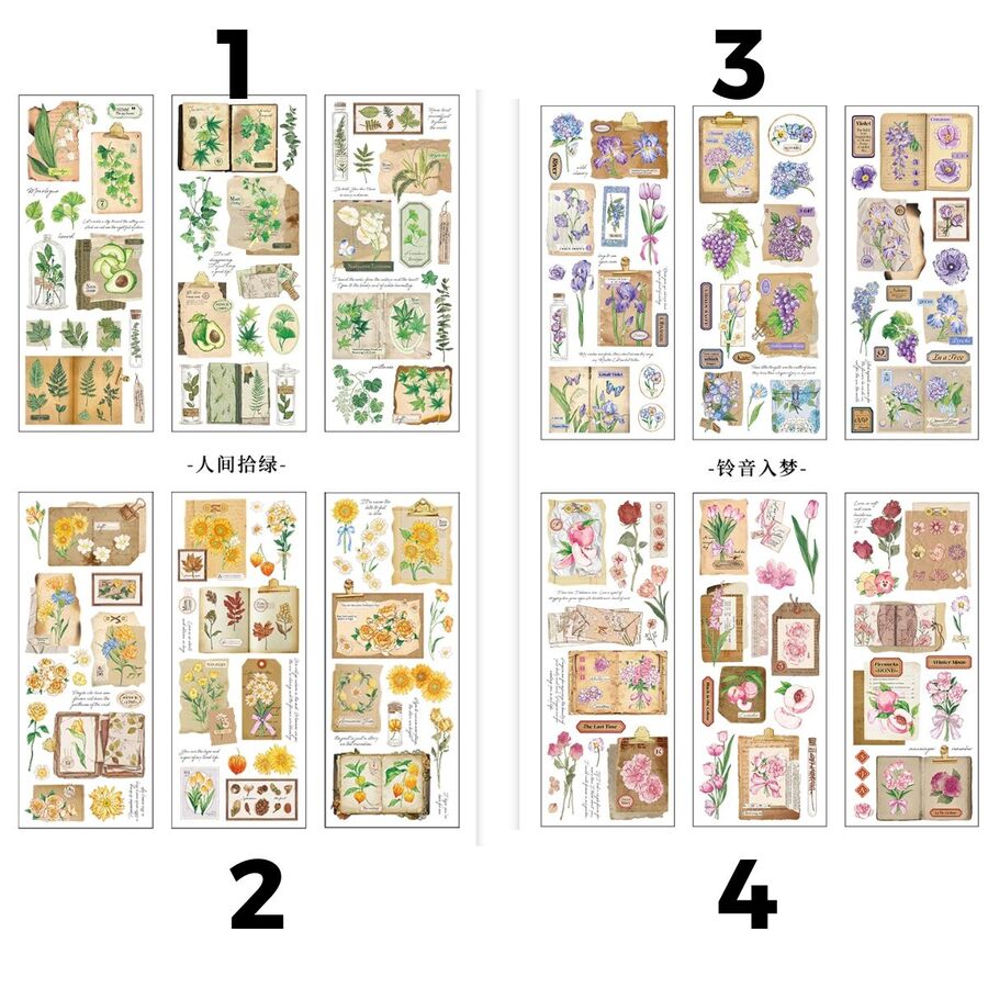 Planchas stickers pet 30623