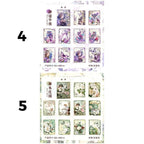 Set papeles varios FOREST