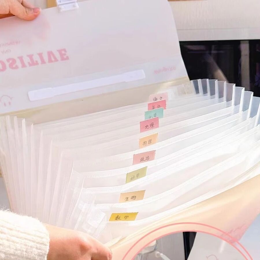 Carpeta organizadora