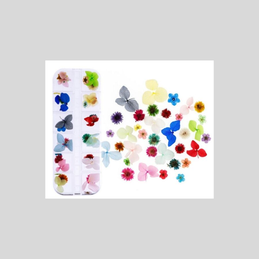 Flores secas 5 - 29625