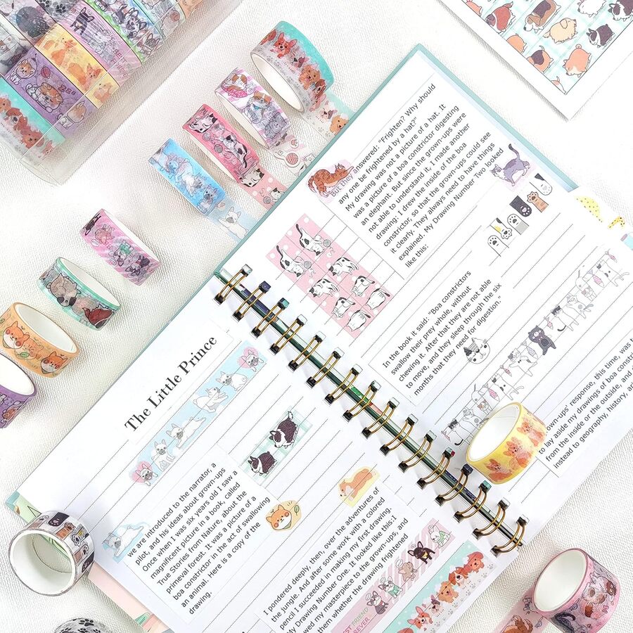 CAJA Washi GATITOS Y PERRITOS