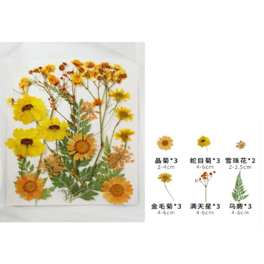 Flores secas - 30801