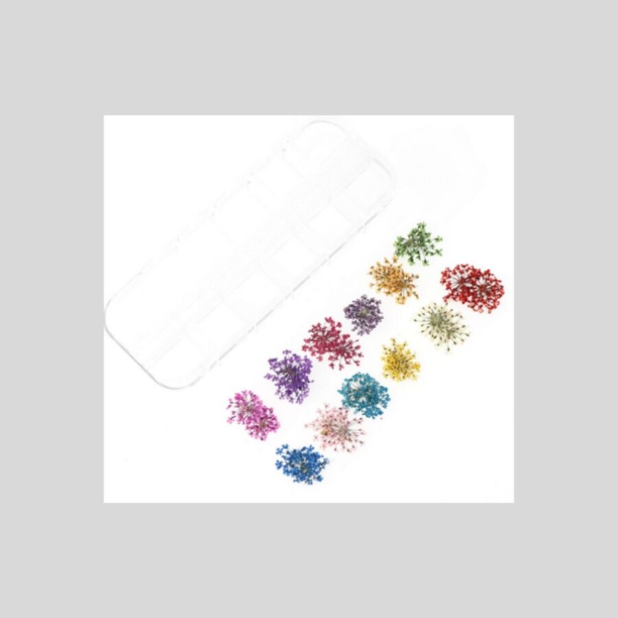 Flores secas 9 - 29629