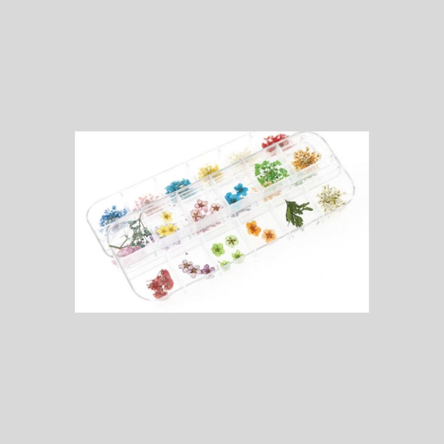 Flores secas 10 - 29630