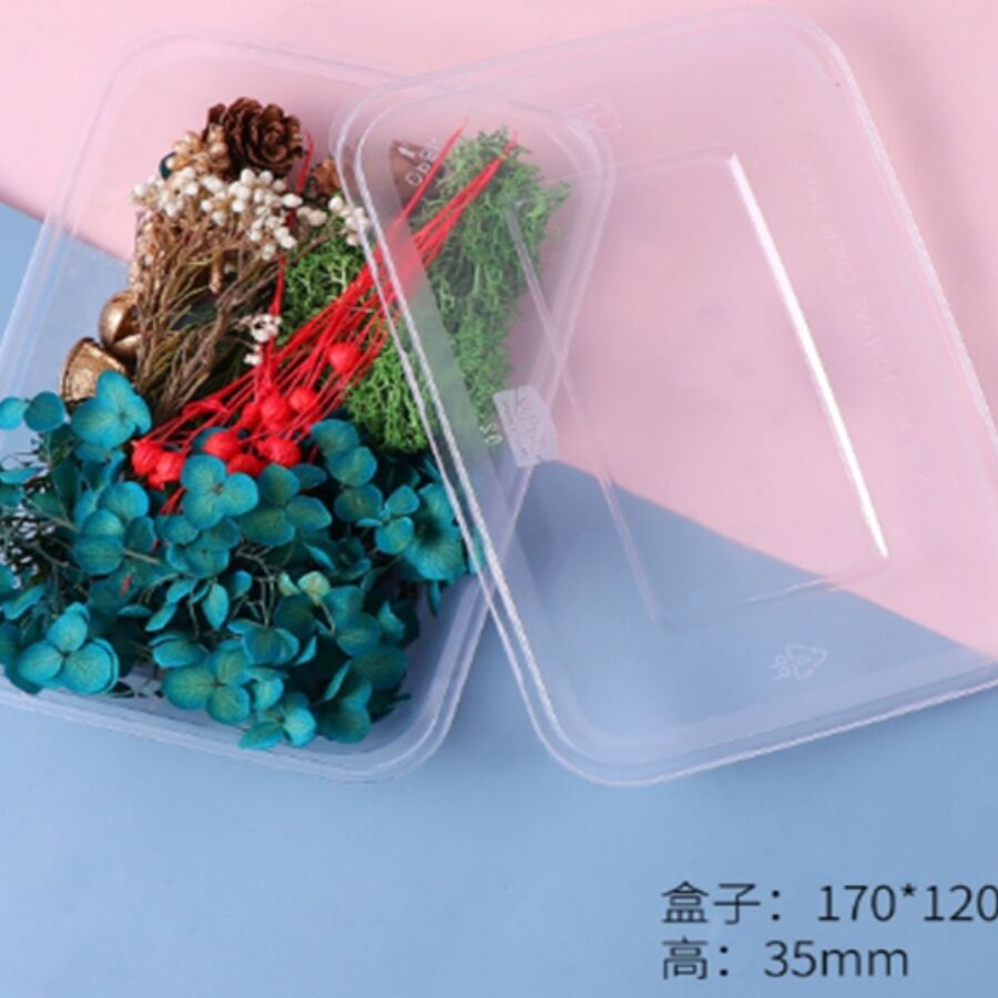 Flores secas - 30819