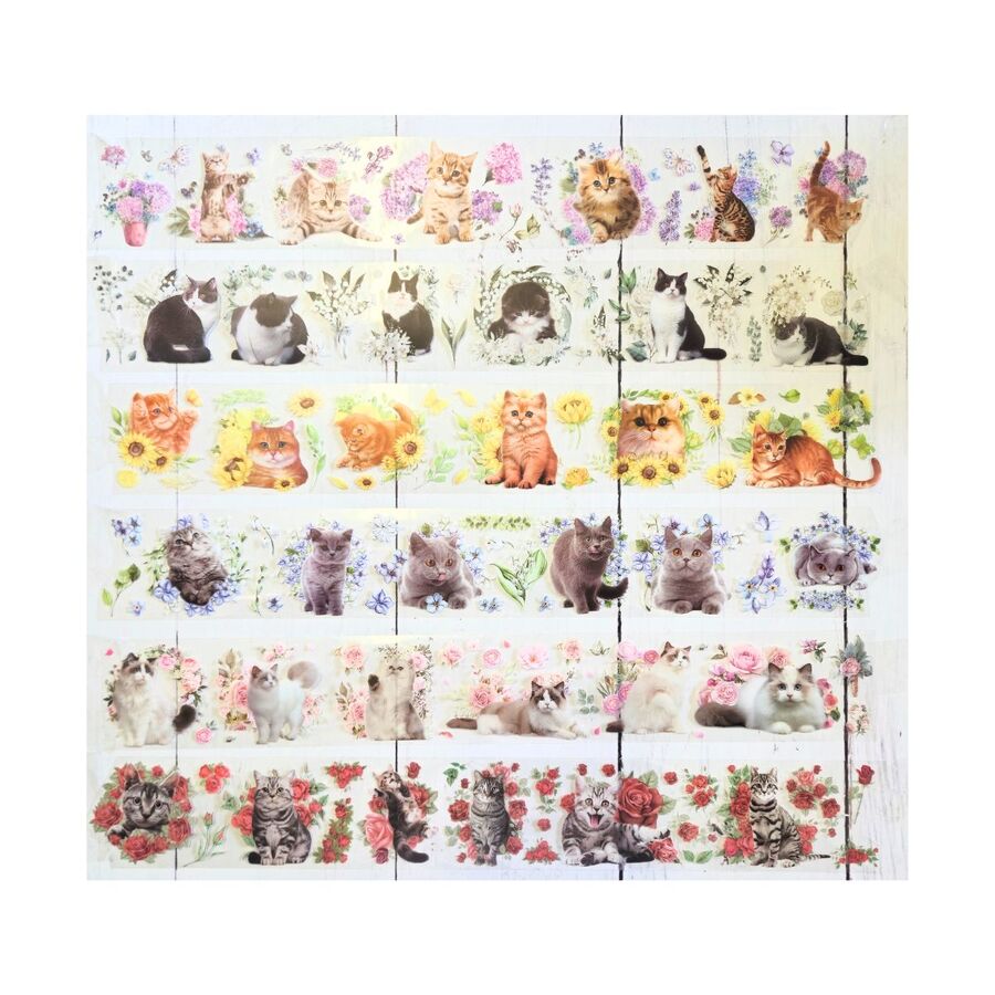 KIT WASHIS PET GATITOS