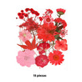 Flores secas - 30807