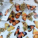 Stickers Butterfly Star & Moon PET 30 piezas (15 diseños x2)