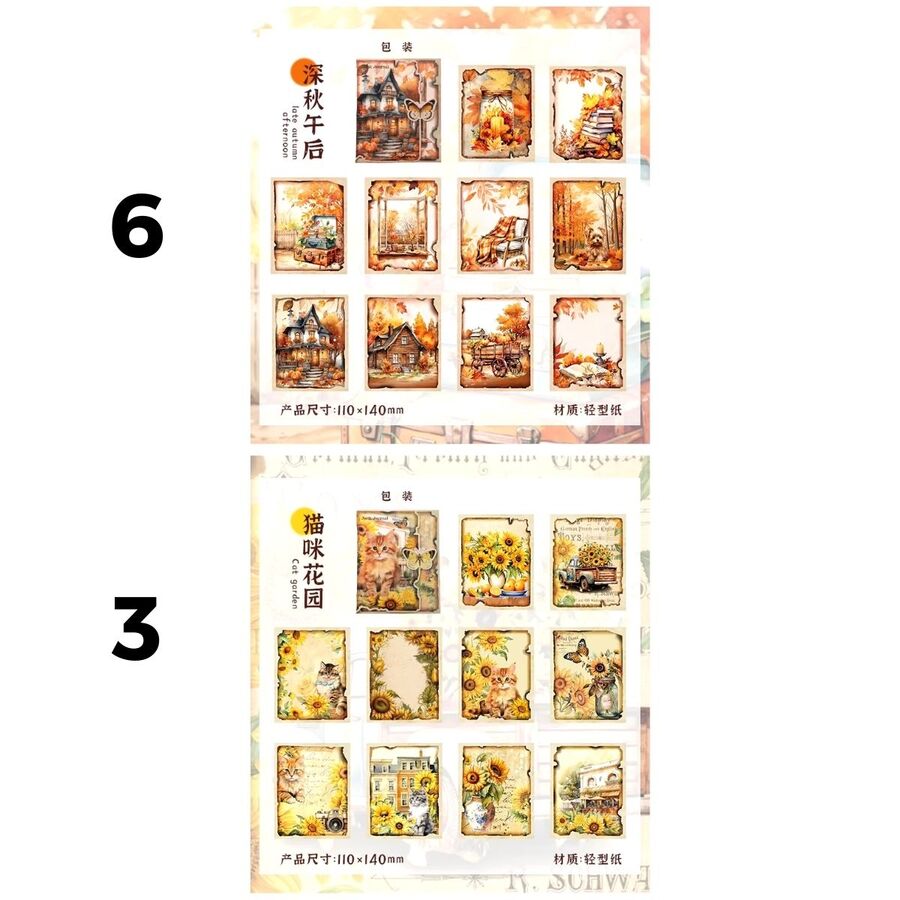 Set papeles varios FOREST