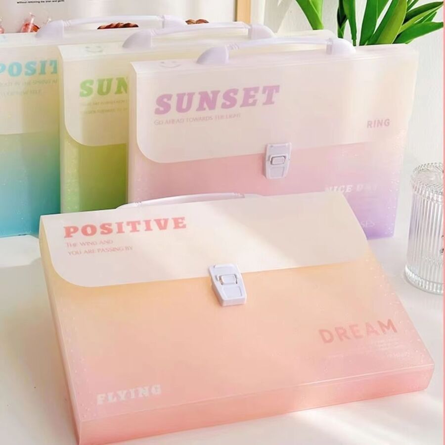 Carpeta organizadora