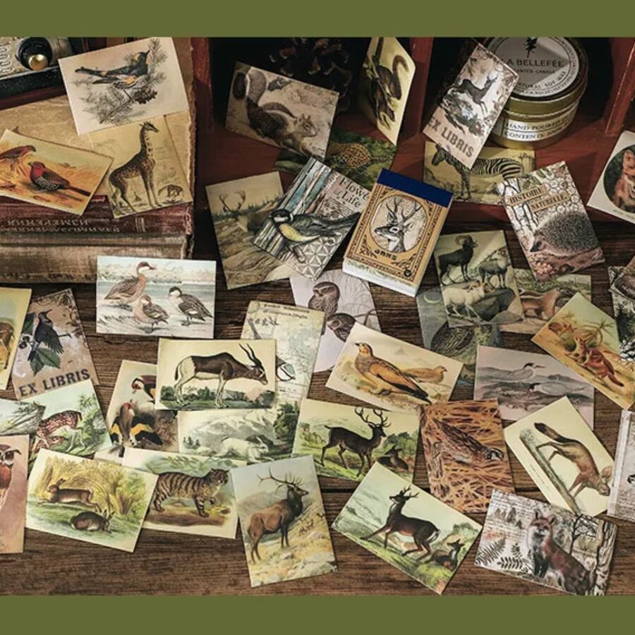 MINI LIBRO STICKERS 30612