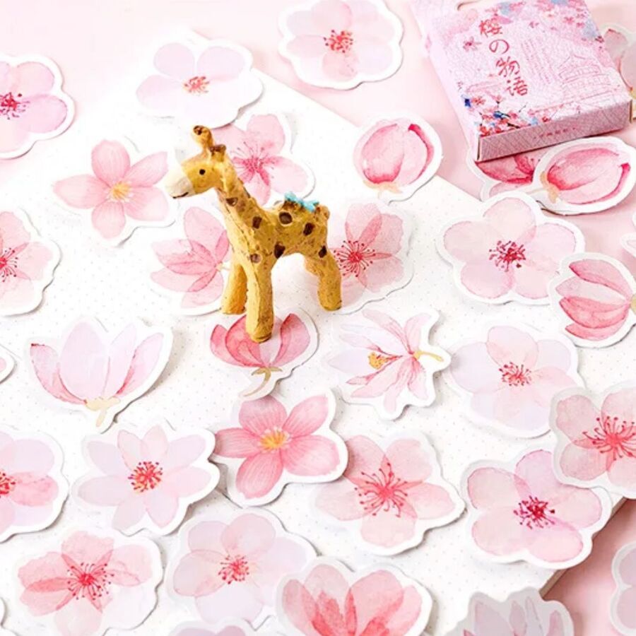 Caja pegatinas 30622