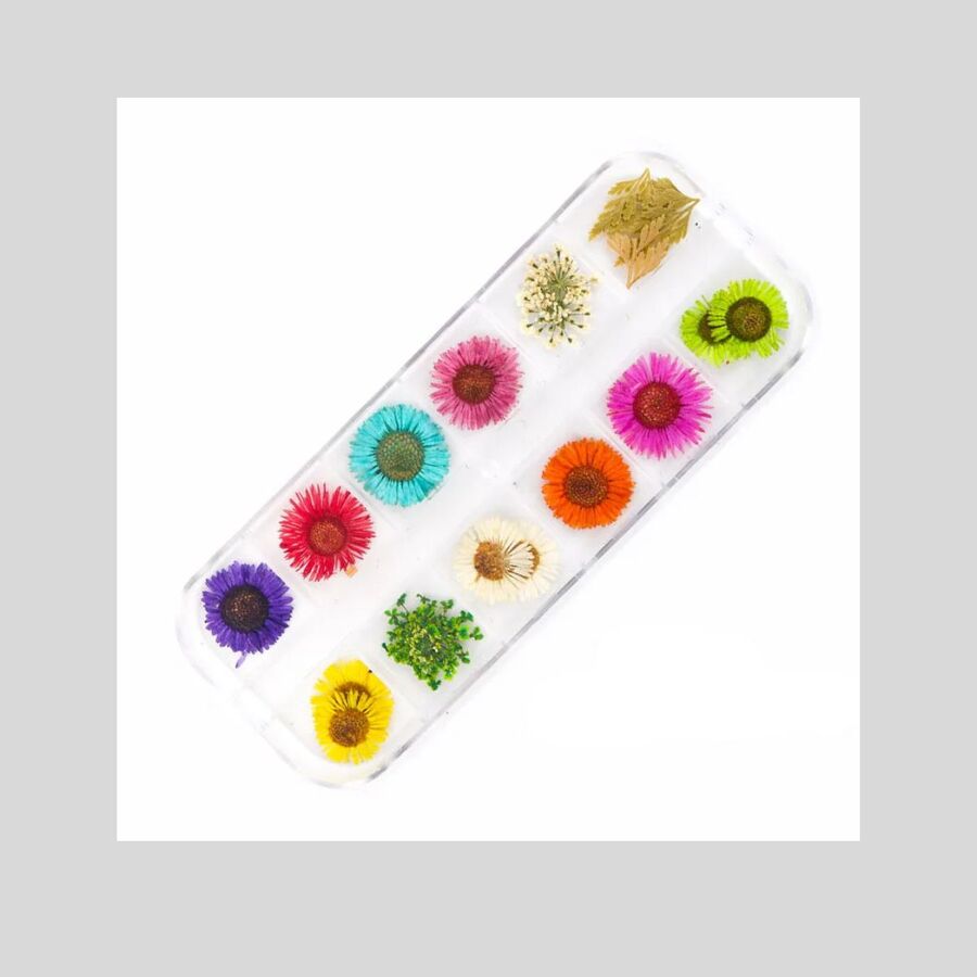 Flores secas 11 - 29631