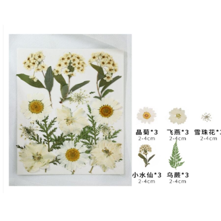 Flores secas - 30798