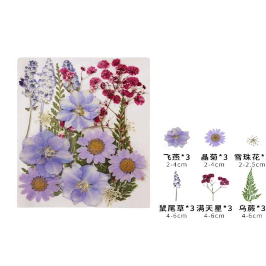 Flores secas - 30803