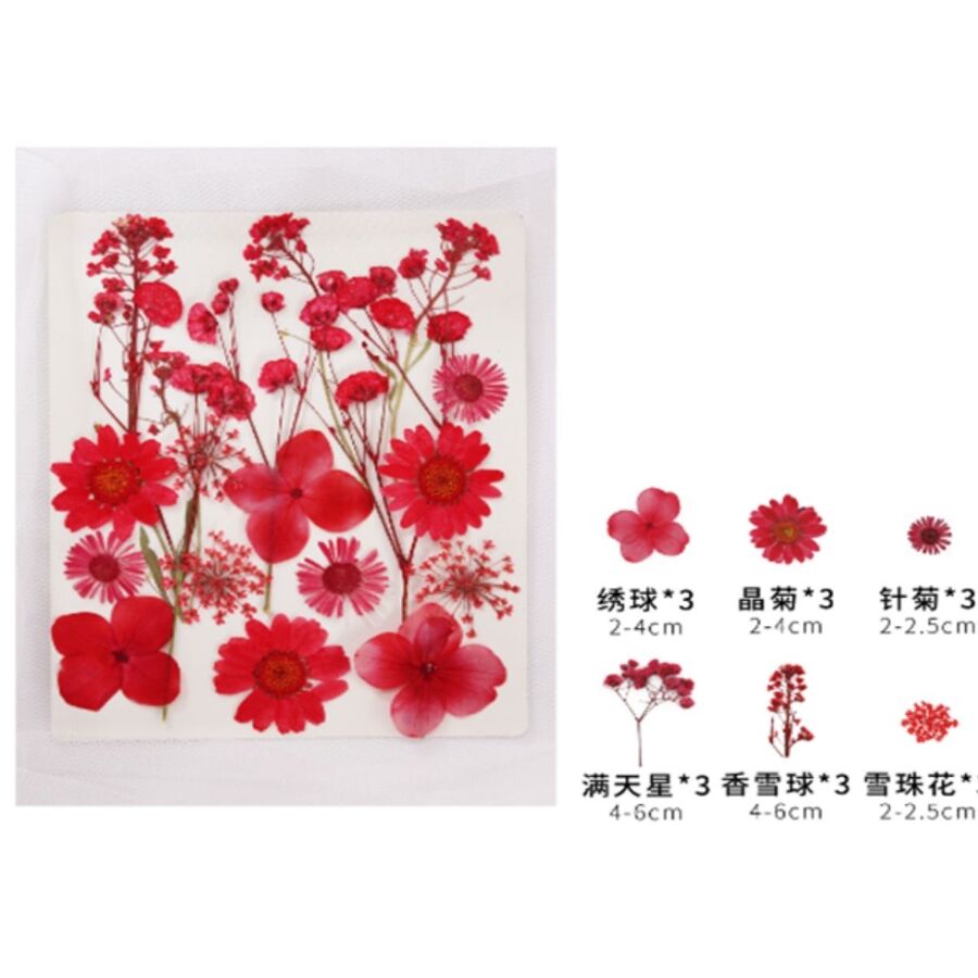 Flores secas - 30802