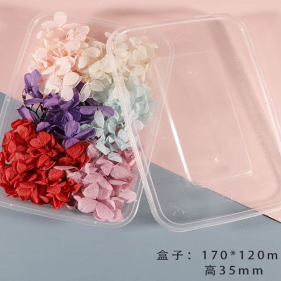 Flores secas - 30811