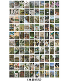Libro de stickers fotográficos (100 hojas)