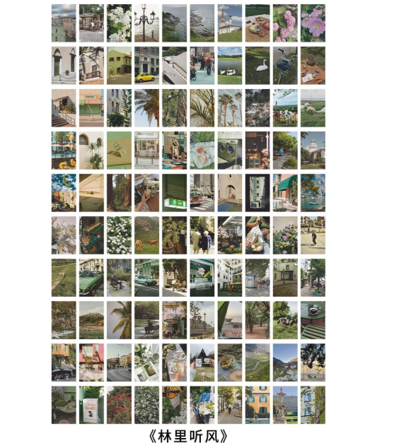 Libro de stickers fotográficos (100 hojas)