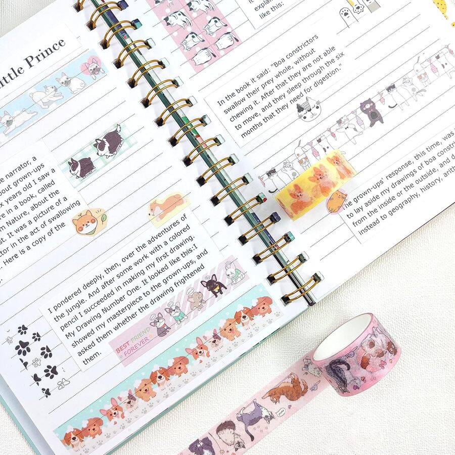 CAJA Washi GATITOS Y PERRITOS