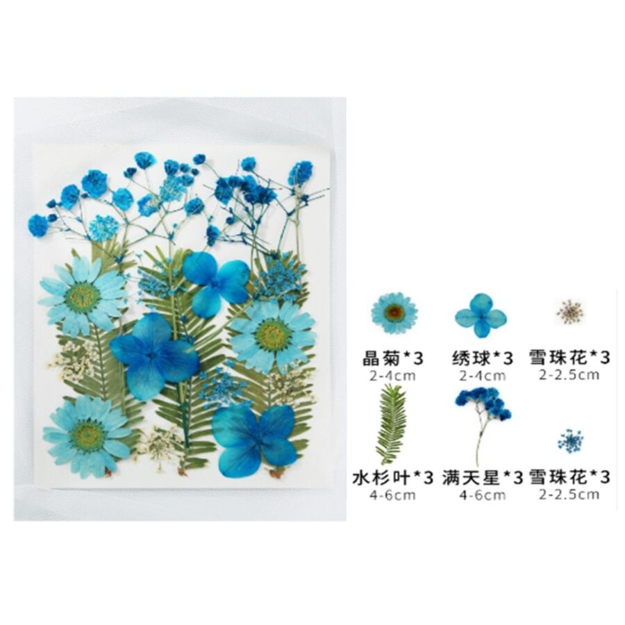 Flores secas - 30800