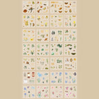 Caja grande pegatinas pet mariposas