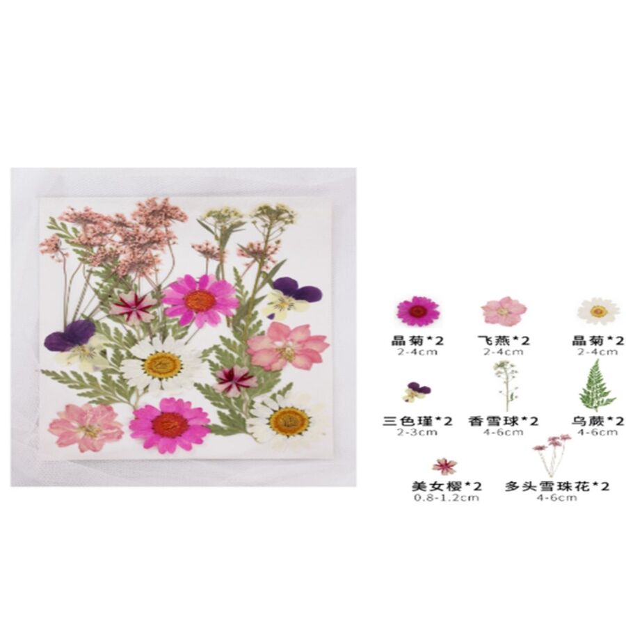 Flores secas - 30799