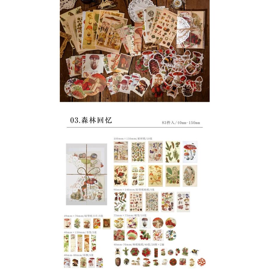 Set blonda papeles y mas