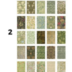 Libro mediano papeles botanicos