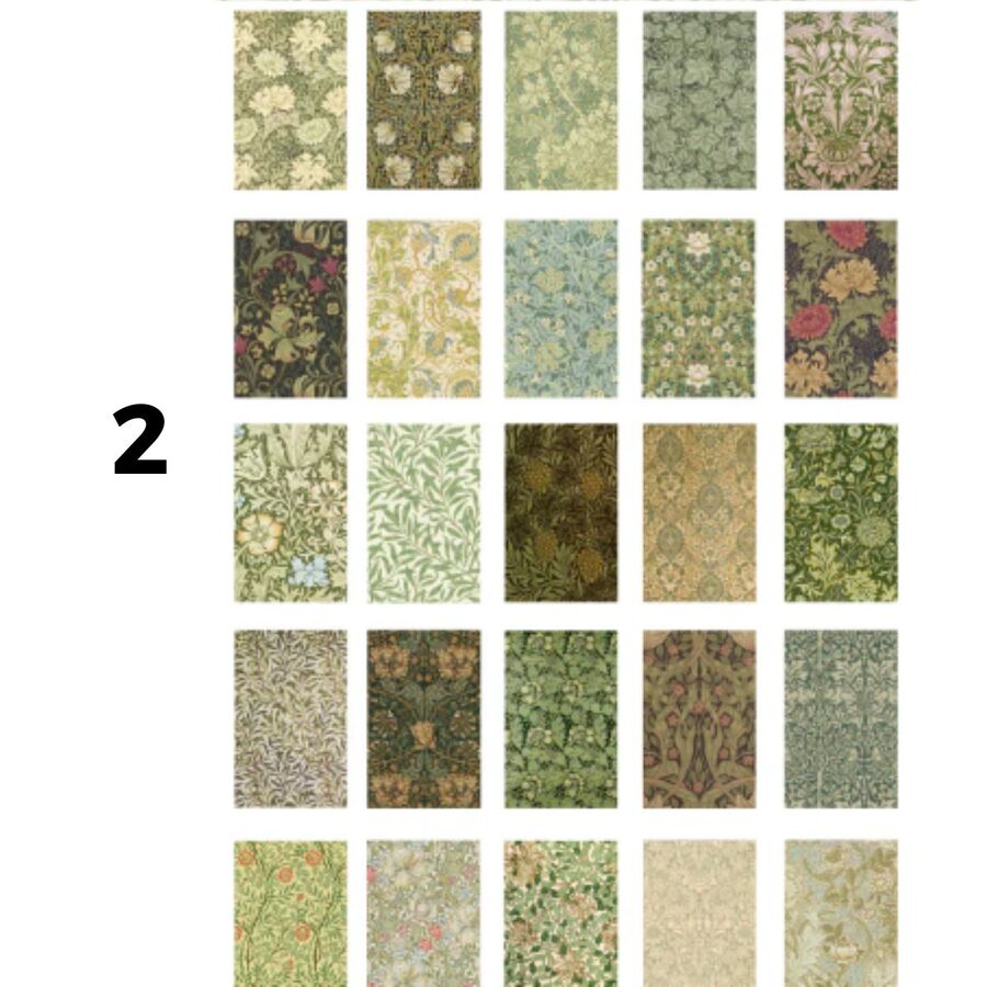 Libro mediano papeles botanicos