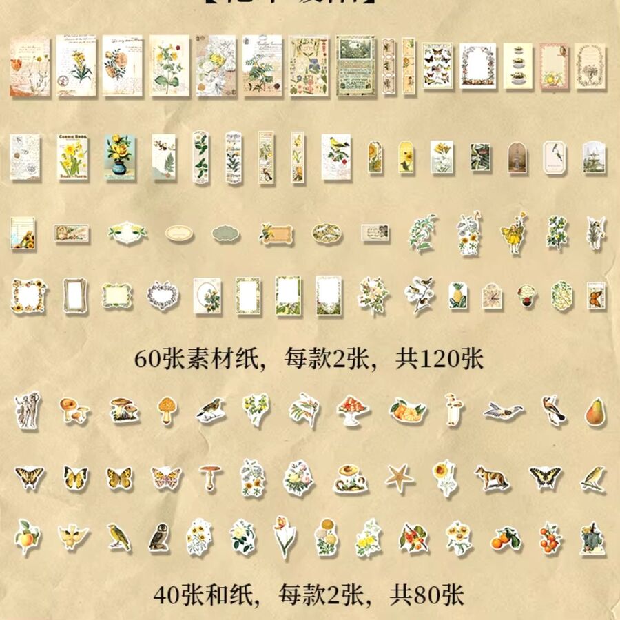 Set varios PAPELES Y STICKERS 30757