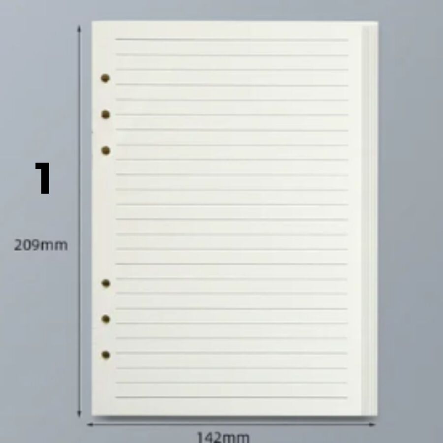Pack hojas A5 80 hojas planner