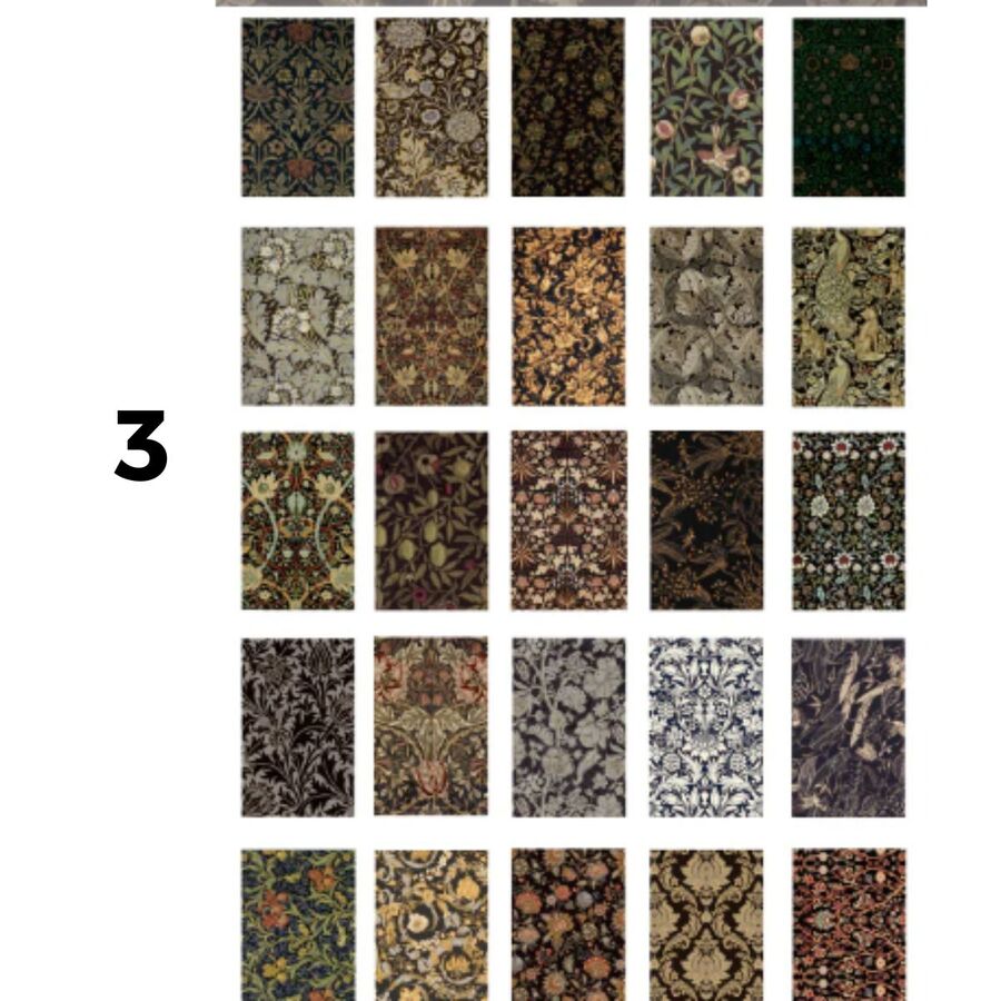 Libro mediano papeles botanicos