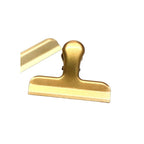 PINZA DORADA