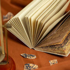 Libro mediano papeles botanicos