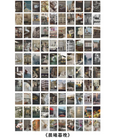 Libro de stickers fotográficos (100 hojas)