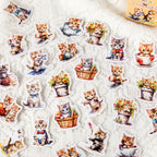 CAJA STICKER GATITOS BEBES