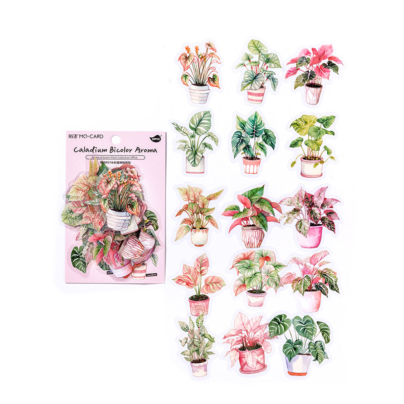 Stickers adhesivos de PET con diseño aesthetic de plantas en maceta y flores