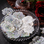 STICKERS FLORES BLANCAS COLECCION FLORESCENCE