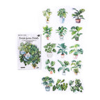 Stickers adhesivos de PET con diseño aesthetic de plantas en maceta y flores