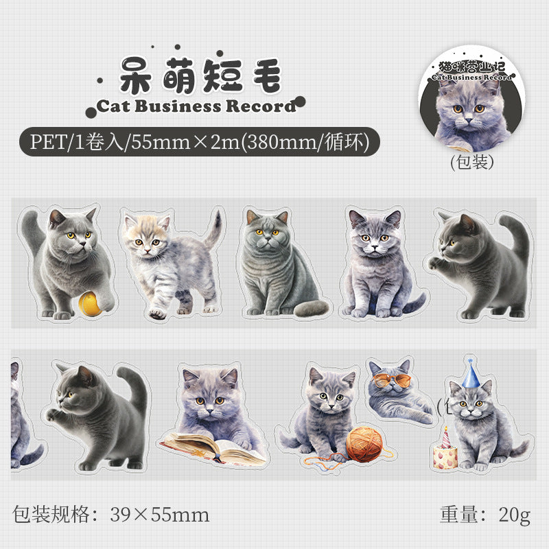WASHI TAPE GATITOS 30794